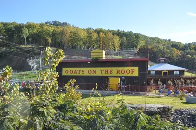 unique things to do in pigeon forge 