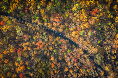 road in the Smokies during fall