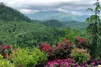 the Smoky Mountains in spring at Anakeesta